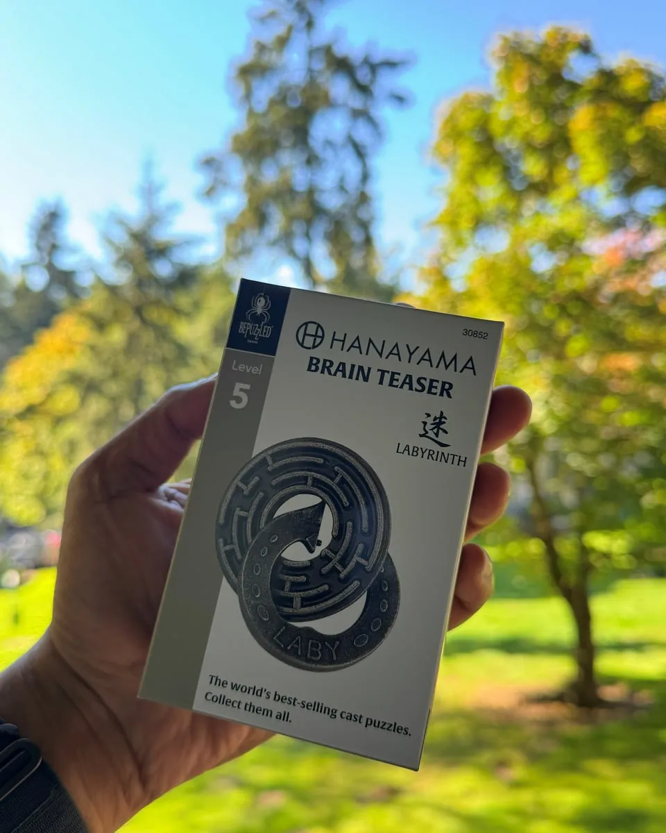 A hand holding a Hanayama Labyrinth cast puzzle box outdoors